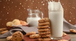 5 best milk alternatives for vegans