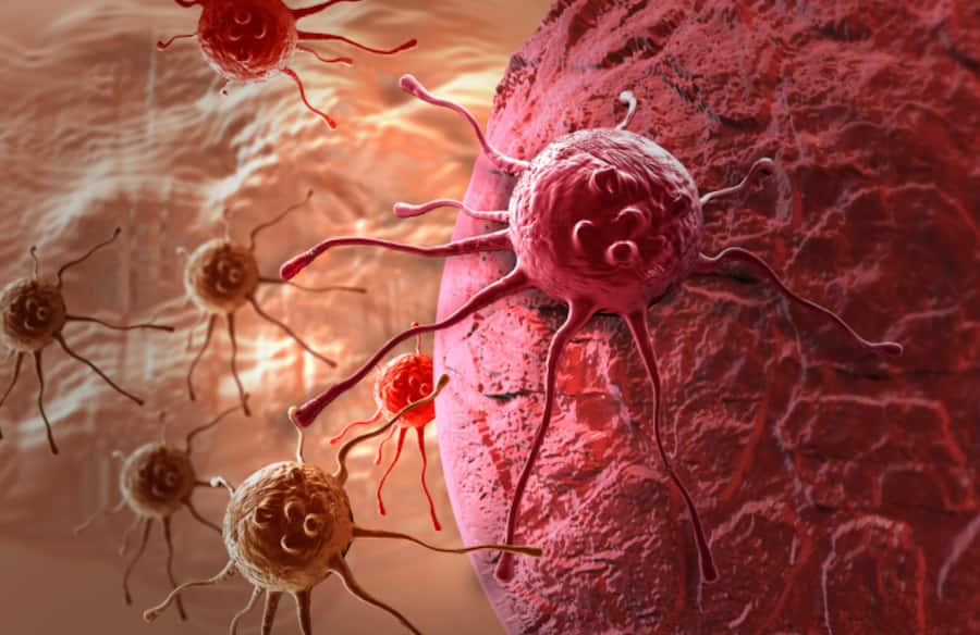 thehealthsite.com top news