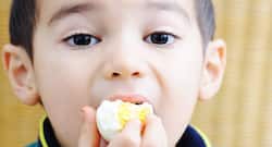 Should you avoid eating eggs during summer?