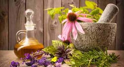 इन 6 तरह के तेलों से बालों का झड़ना और जोड़ो का दर्द कम करने जैसे 15 चौंकाने वाले फायदों के बारे में जानें!