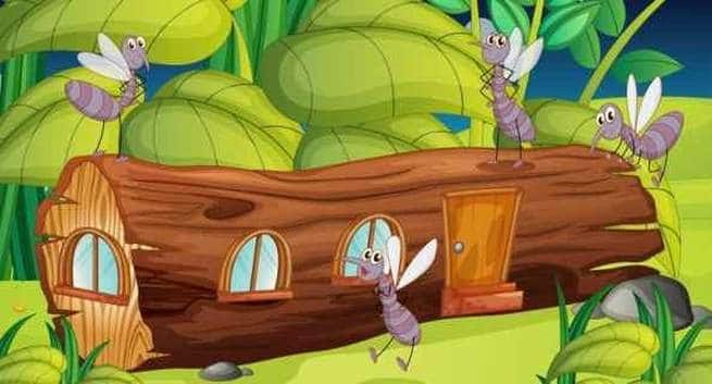 mosquitoes favourite spots