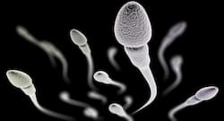 How the sperm wash technique can help an HIV positive man father a healthy baby