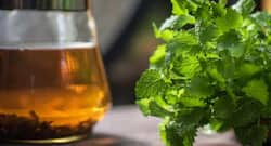 Health benefits of lemon balm: fights depression, indigestion, insomnia +2