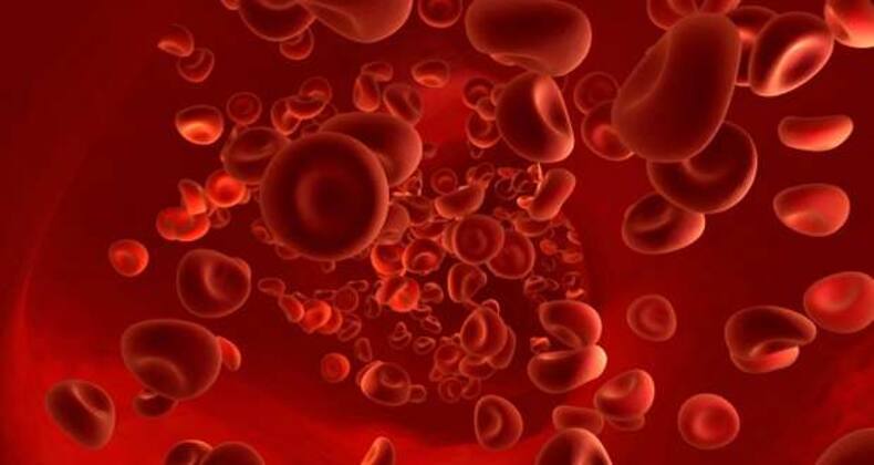 8 diet tips to boost your hemoglobin levels (Gallery)