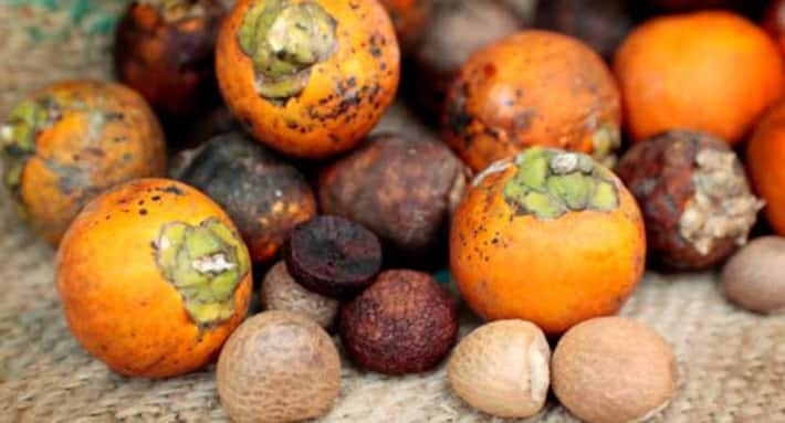 health-risks-of-chewing-supari-or-betel-nut-you-didn-t-know-about