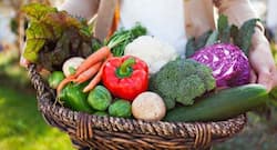 Monsoon diet: 6 types of food you must eat in the rainy season