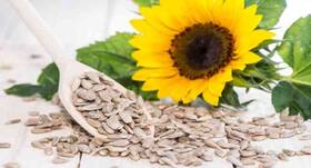 How you can make best use of sunflower seeds