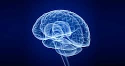 Here's why the bad memories come to us when least expected