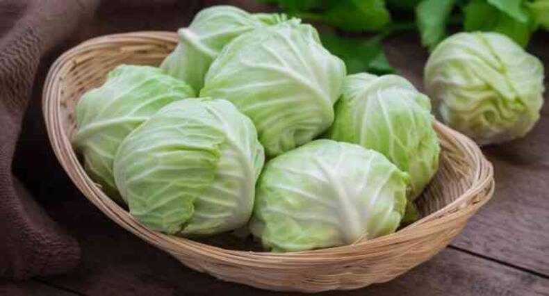 5 healthy and tasty cabbage recipes that will make you love this vegetable!