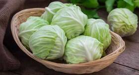 5 healthy and tasty cabbage recipes that will make you love this vegetable!