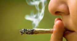 5 reasons why you shouldn’t smoke marijuana (weed)