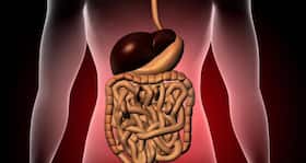 World Liver Day 2018: 5 things you should know about fatty liver disease
