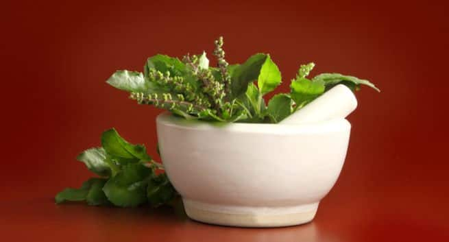 3 home remedies using tulsi leaves for fever and cold