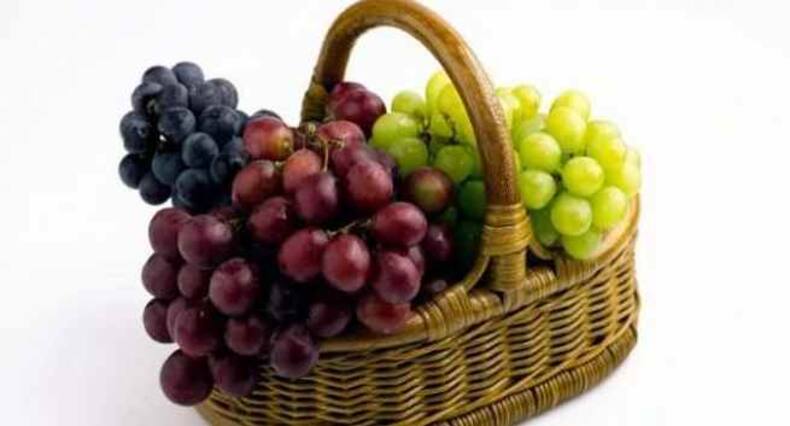 बच्चों के दिमाग को तेज करने के लिए रोजाना खिलाएं ये 5 फल