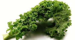 Kale can be the secret of your shining mane and glowing skin