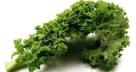 Kale can be the secret of your shining mane and glowing skin Kale can be the secret of your shining mane and glowing skin