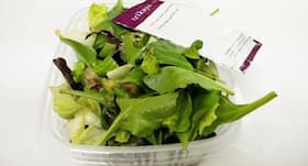 Product review: Trikaya ready-to-eat salad box review