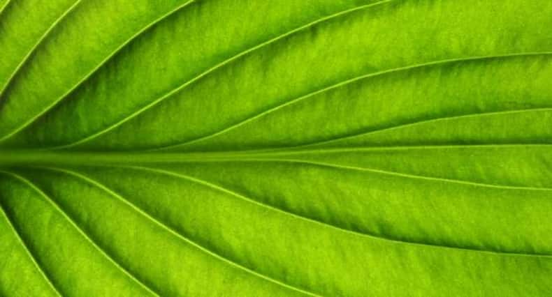 अपने वैजाइनल डिस्चार्ज से जानें कैसी है आपकी सेहत