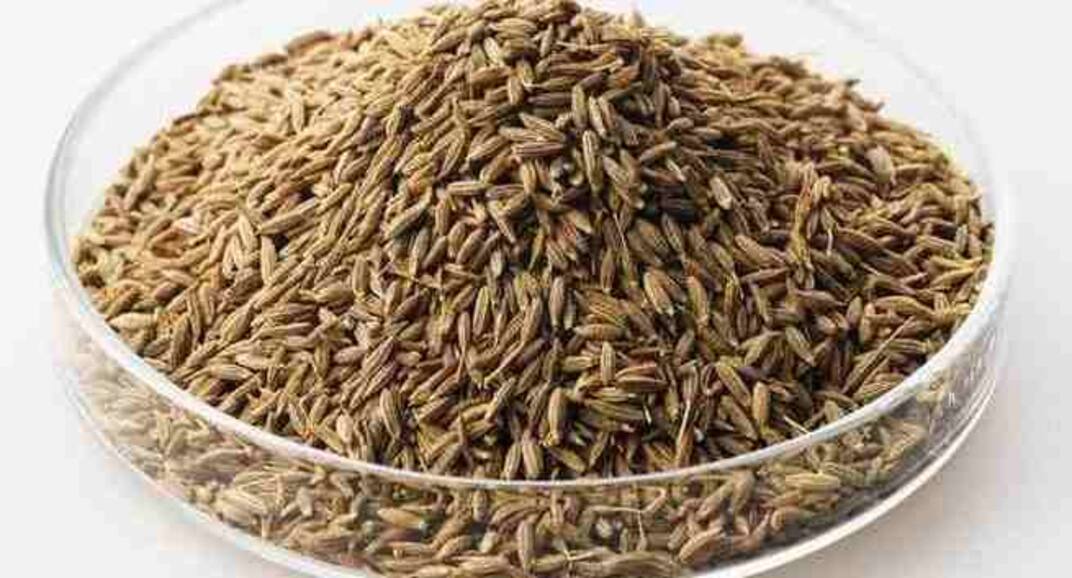 7 antioxidant-rich Indian spices to lower your risk of cancer