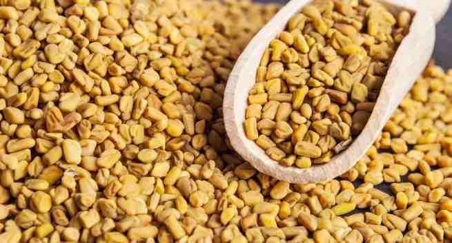 Fenugreek or methi seeds a natural way to treat ovarian cysts