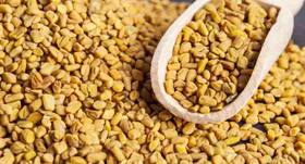 Fenugreek or methi seeds - a natural way to increase breast milk supply