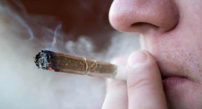 A minute of secondhand weed smoke may damage blood vessels ...