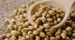 World Diabetes Day on 14th November: Coriander seeds can manage blood sugar levels