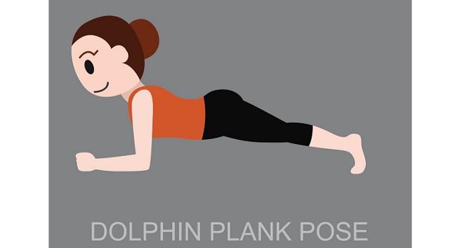 Dolphin Plank Pose White Background Makara Stock Photo 661022518 |  Shutterstock