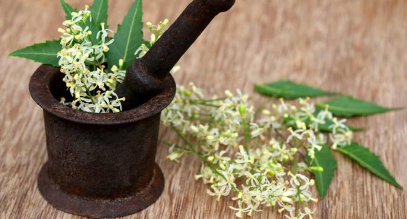 5 edible flowers you should include in your diet