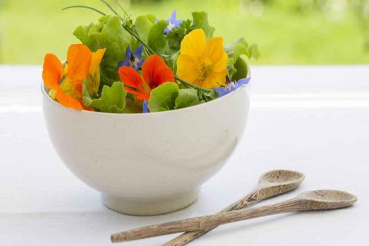 5 Edible Flowers You Should Include In Your Diet Thehealthsite Com