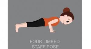 four limbed staff pose-THS