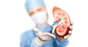Now a way to prevent damage in donated kidneys