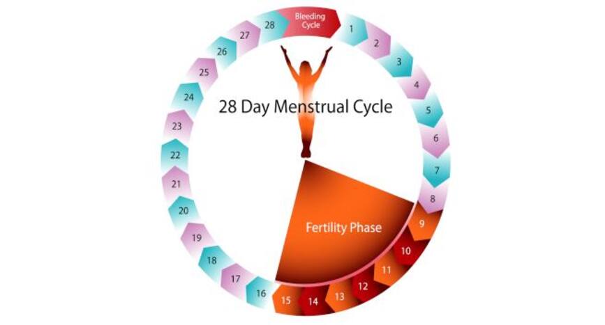 'Is my period normal?' Don't wonder, here are 6 signs of healthy ...