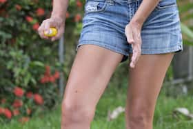 Tried and tested natural mosquito repellent that works! Tried and tested natural mosquito repellent that works!