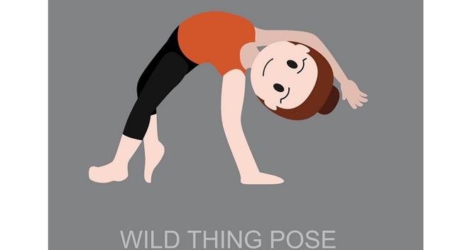 Young Woman Practicing Yoga Wild Thing Pose Camatkarasana Exercise Stock  Photo - Download Image Now - iStock