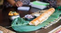 Calorie count of plain dosa, masala dosa +22 different types of dosa