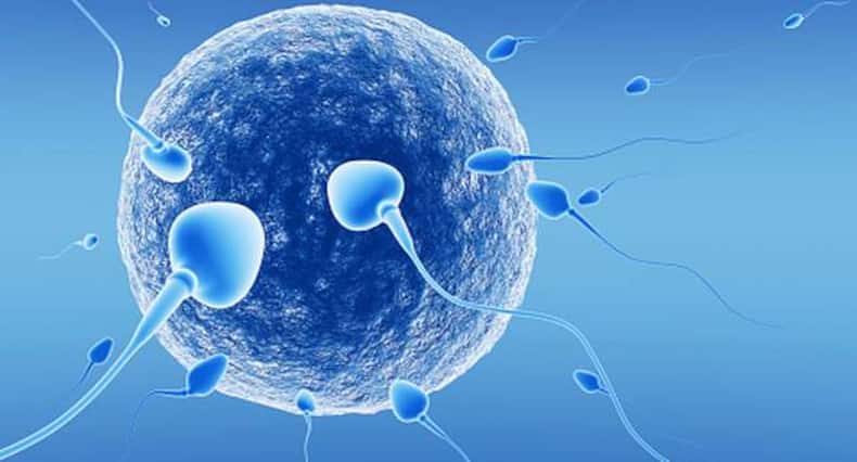 5 foods that can destroy your sperm