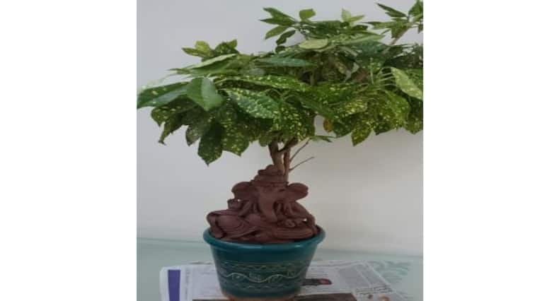 5 eco-friendly Ganpati idols you must get home this Ganesh Chaturthi