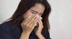 Suffer from recurrent common cold? Blame it on camels