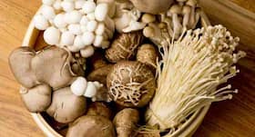 Relish this yummy mushroom vol-au-vents recipe