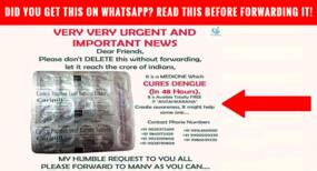 Medicine that cures dengue in 48 hours: Did you get this forward on WhatsApp? Read this before forwarding