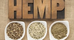 5 health benefits of hemp seeds