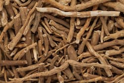 Do you suffer from an anxiety disorder? Try ashwagandha, an Ayurvedic herb