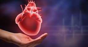 Calcium supplement intake may increase risk of heart damage