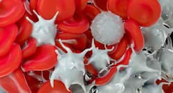 डेंगू और मलेरिया के दौरान प्लेटलेट्स काउन्ट कम होने पर खायें ये 5 फूड्स