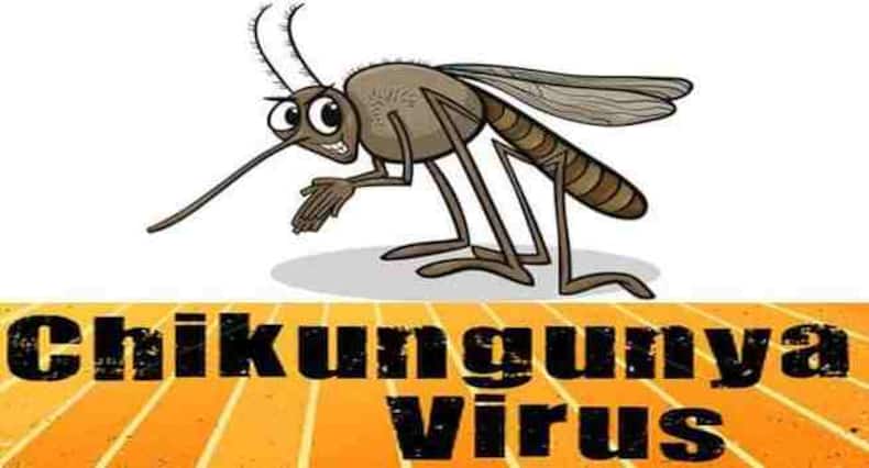 चिकनगुनिया  के 7 लक्षण