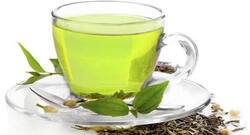 Fitness plan day 268 – Sip some green tea in the morning