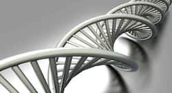 New method to view proteins in human cells