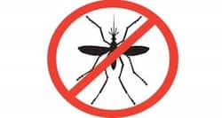 Commonwealth leaders commit $4.1bn to halve malaria by 2023