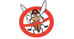 Novel bed net provides greater protection against malaria